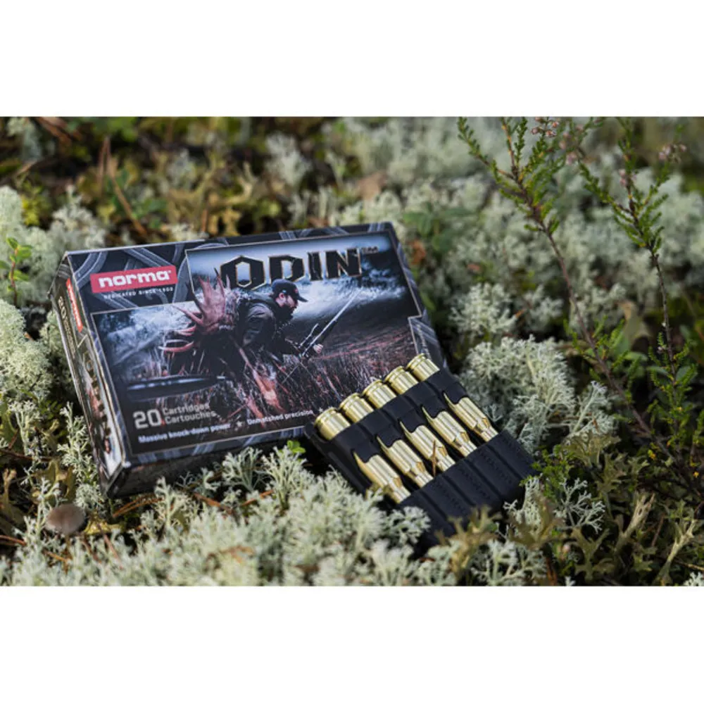 Norma Odin 10.5g / 162 gr .308 Win.